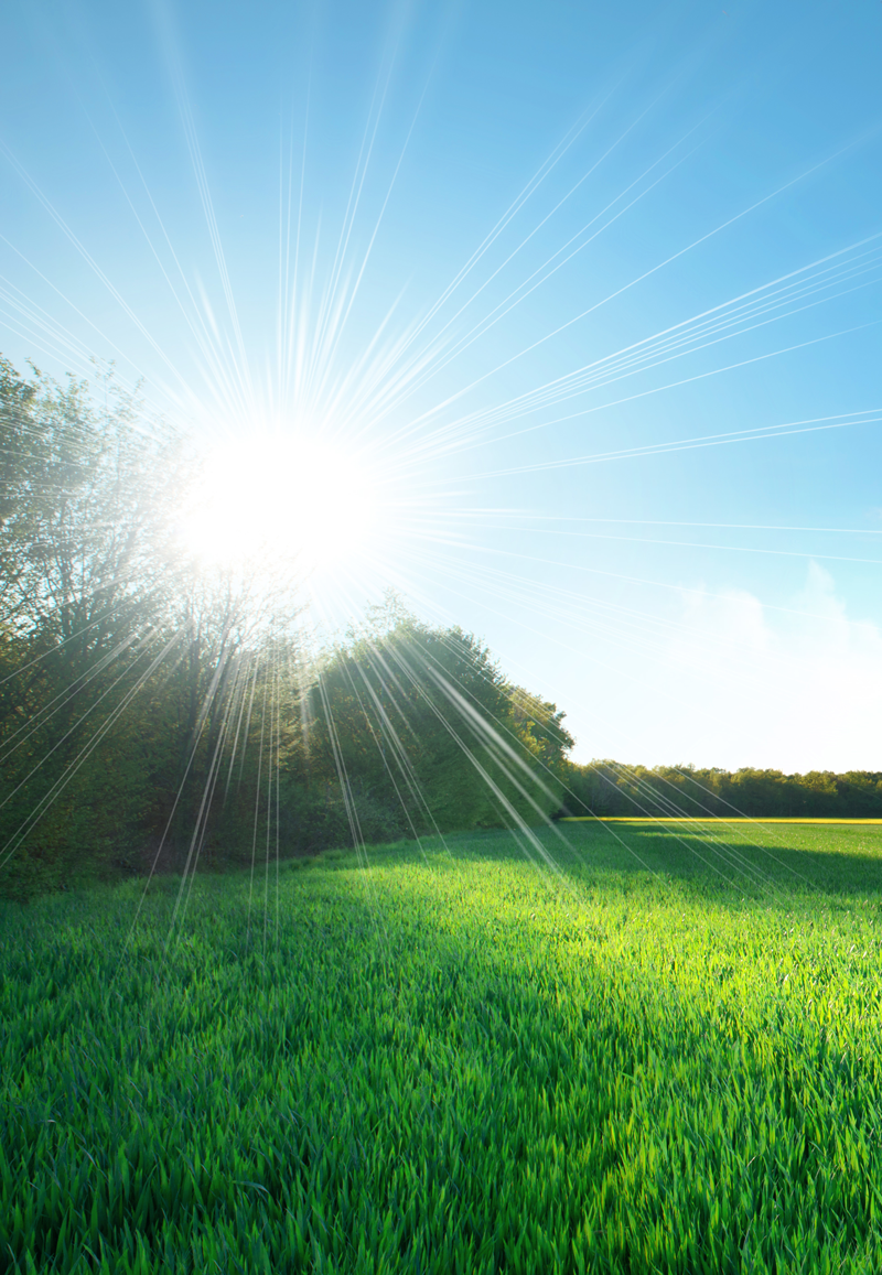 the Sun shining over a green field