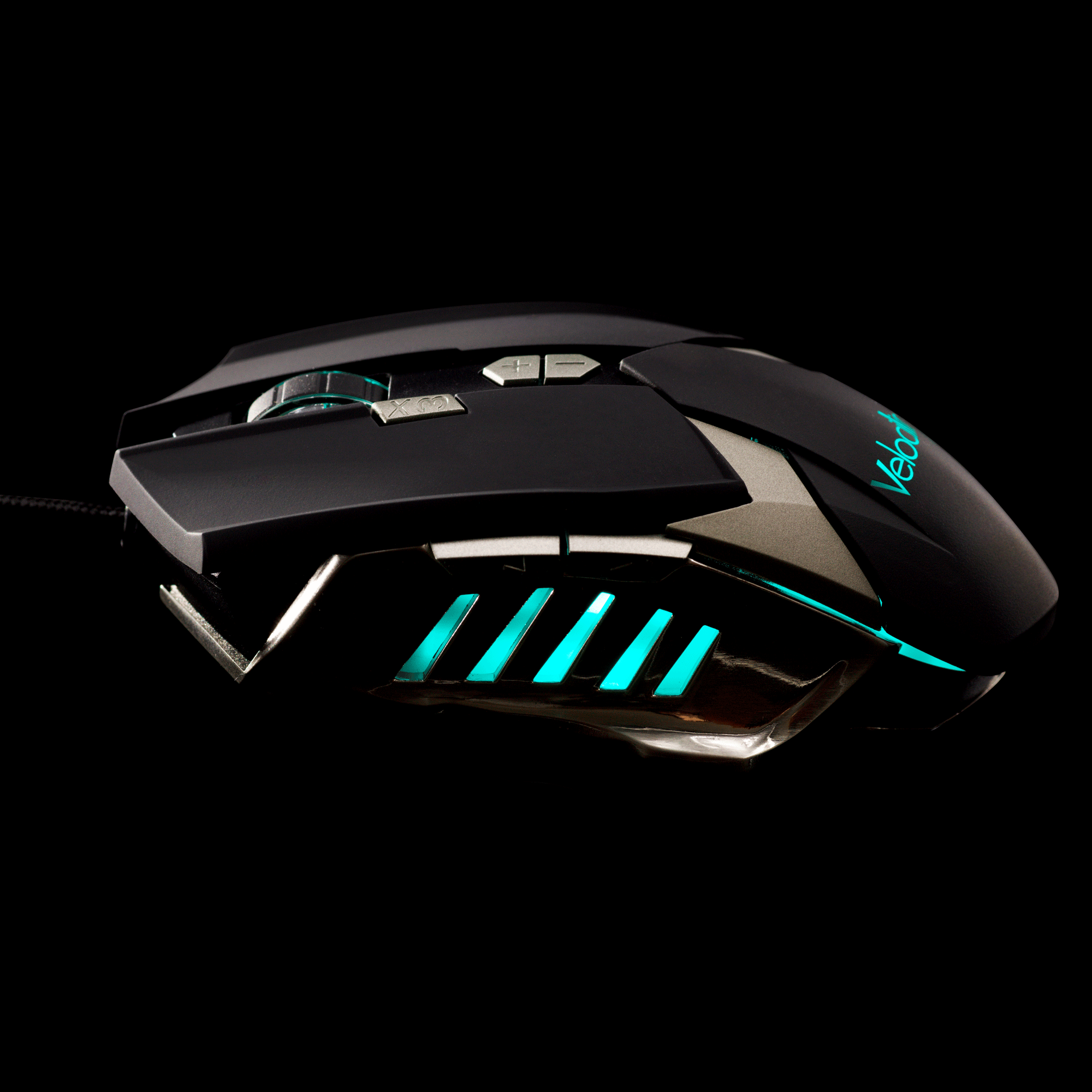 Tyr mouse